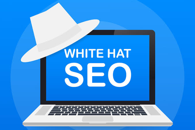 Professional White Hat SEO Case Study infographic showing 50+ authoritative backlinks, keyword ranking improvements, organic traffic growth, and increased domain authority.